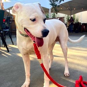 Meet your Posher, Francheska